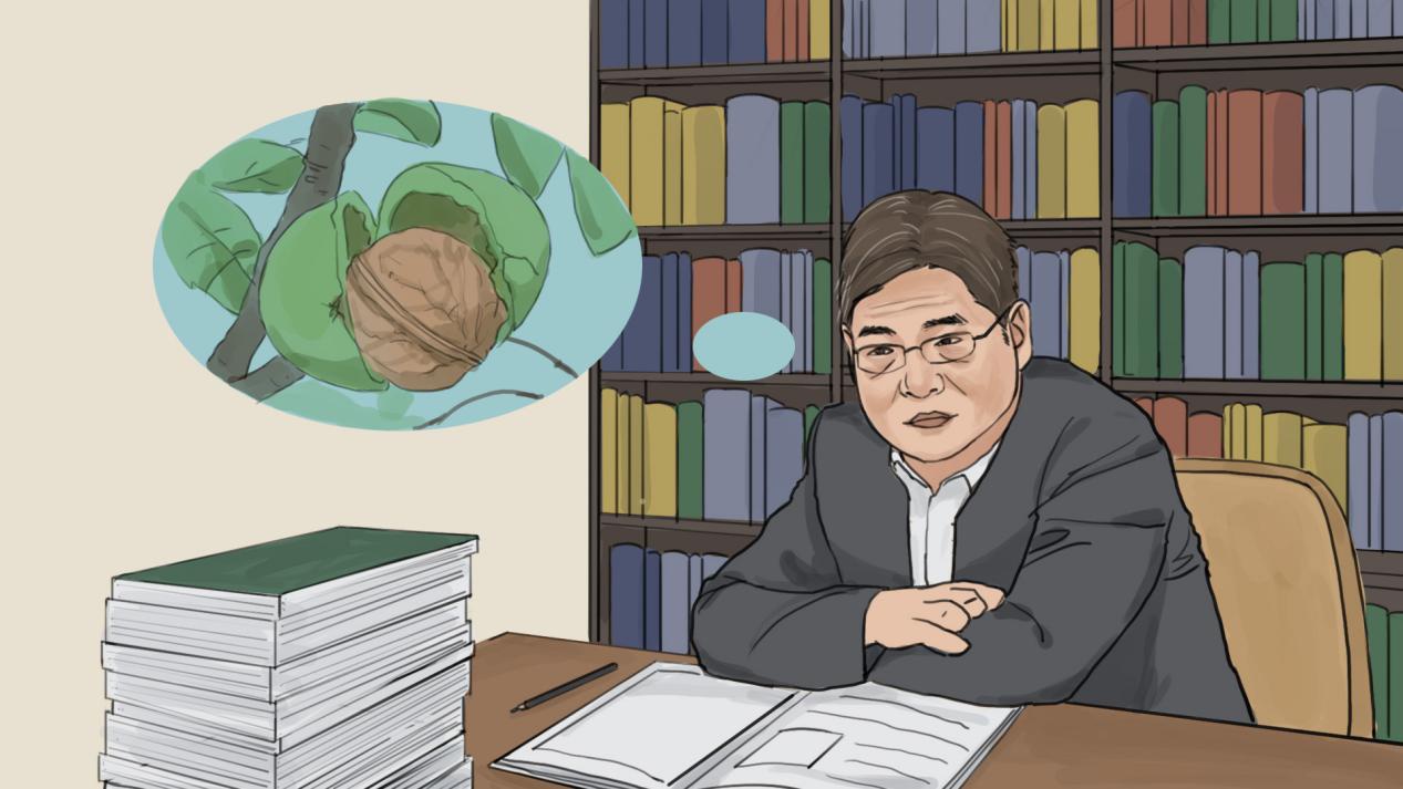 一组漫画了解这位贵阳核桃专家潘学军带领赫章村民脱贫致富的故事