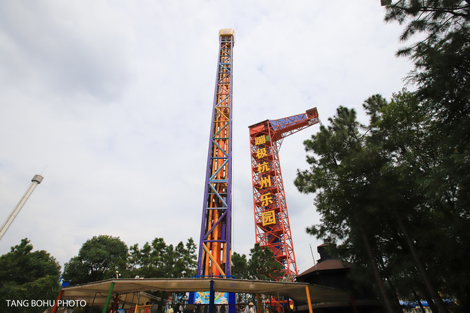 超大的蜘蛛在公园的草地上,每天都有主题表演,每一次到 杭州 最想去