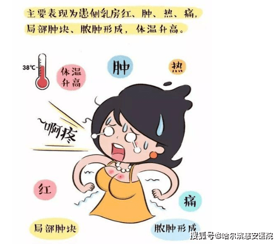 科普准妈妈必看之一急性化脓性乳腺炎