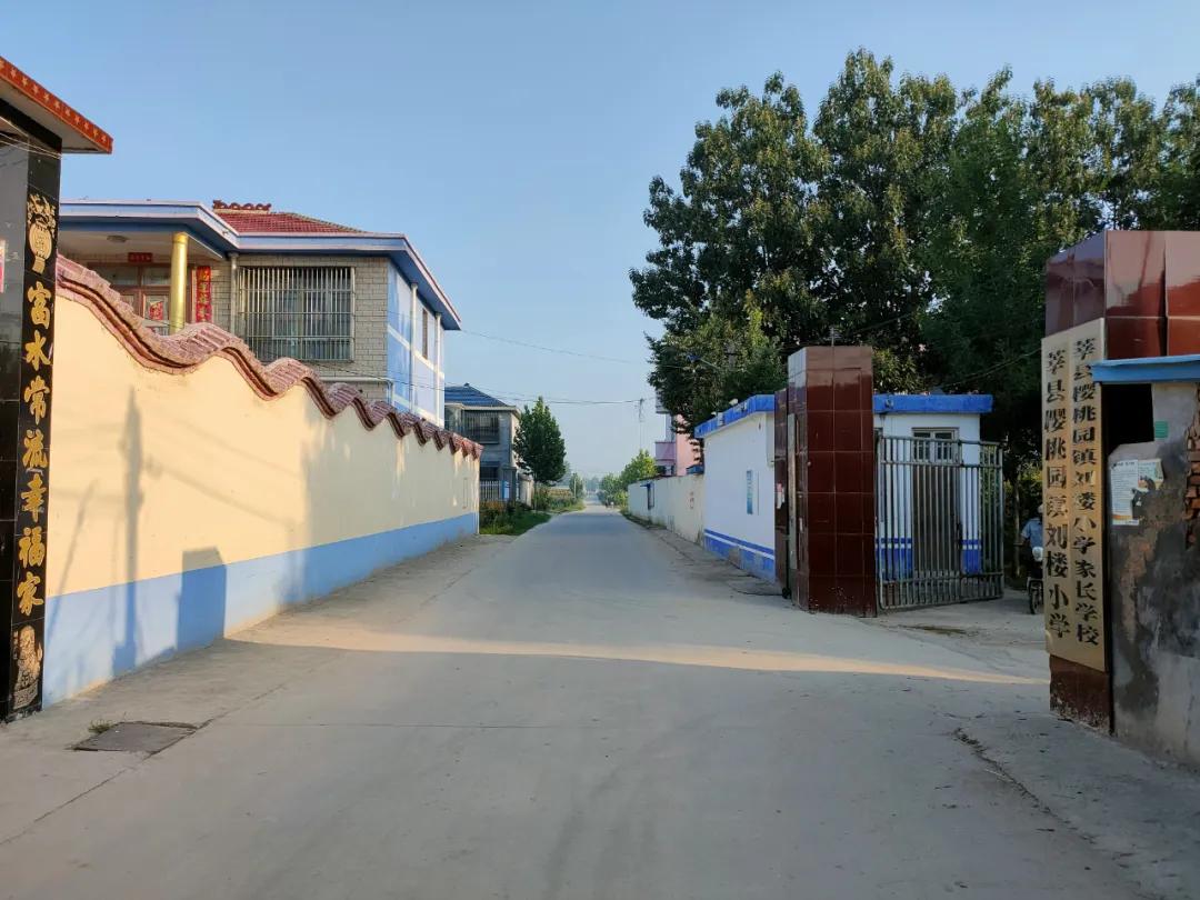 莘县樱桃园镇开展人居环境整治工作现场观摩评比活动