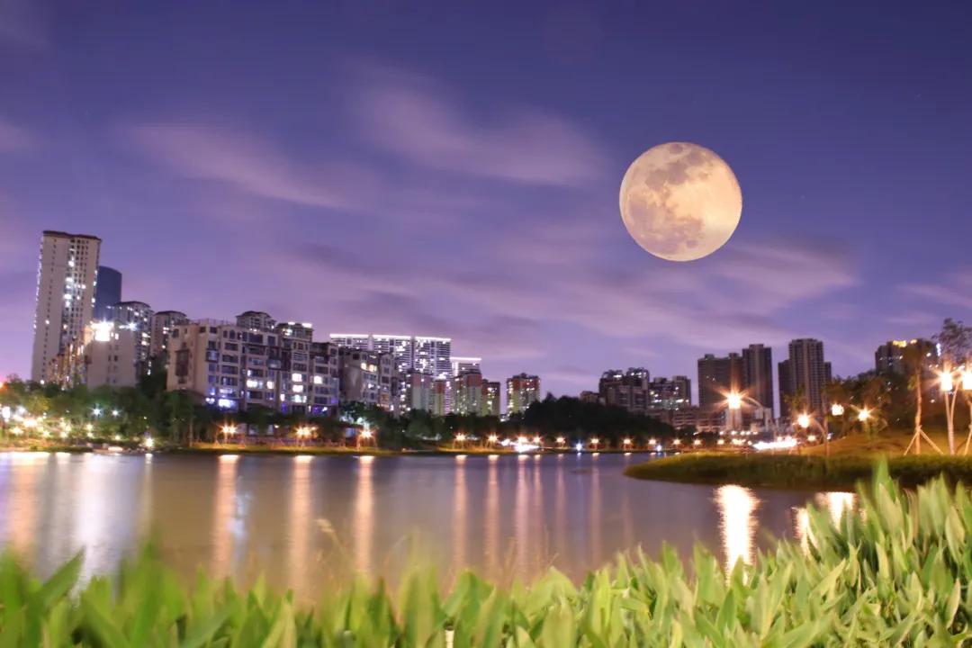 博爱湖实景 图源:南海狮山家门口的植物园,让孩子从小识花辨草,成为大