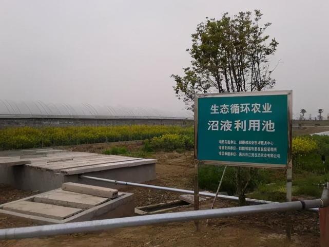 「创澳分享」沼气工程中沼液的用途有哪些?