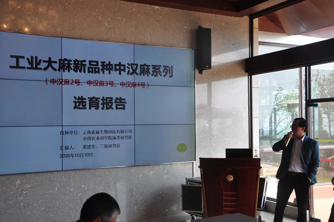 美瑞麻妆持续引领cbd原料核心优势!_汉麻