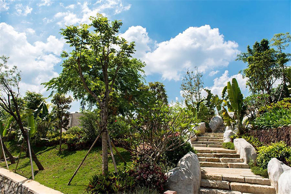 海南房产凤凰谷参考均价9000元㎡