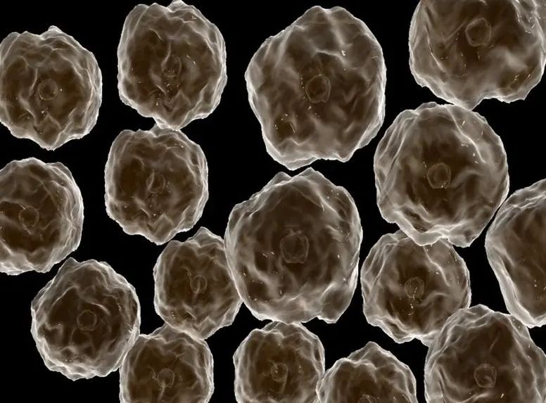 如何做到由内到外抵抗衰老_细胞