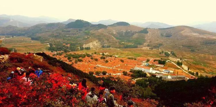 地址:博山镇北博山村北白石洞autumn白石洞有其独特的自然风光.