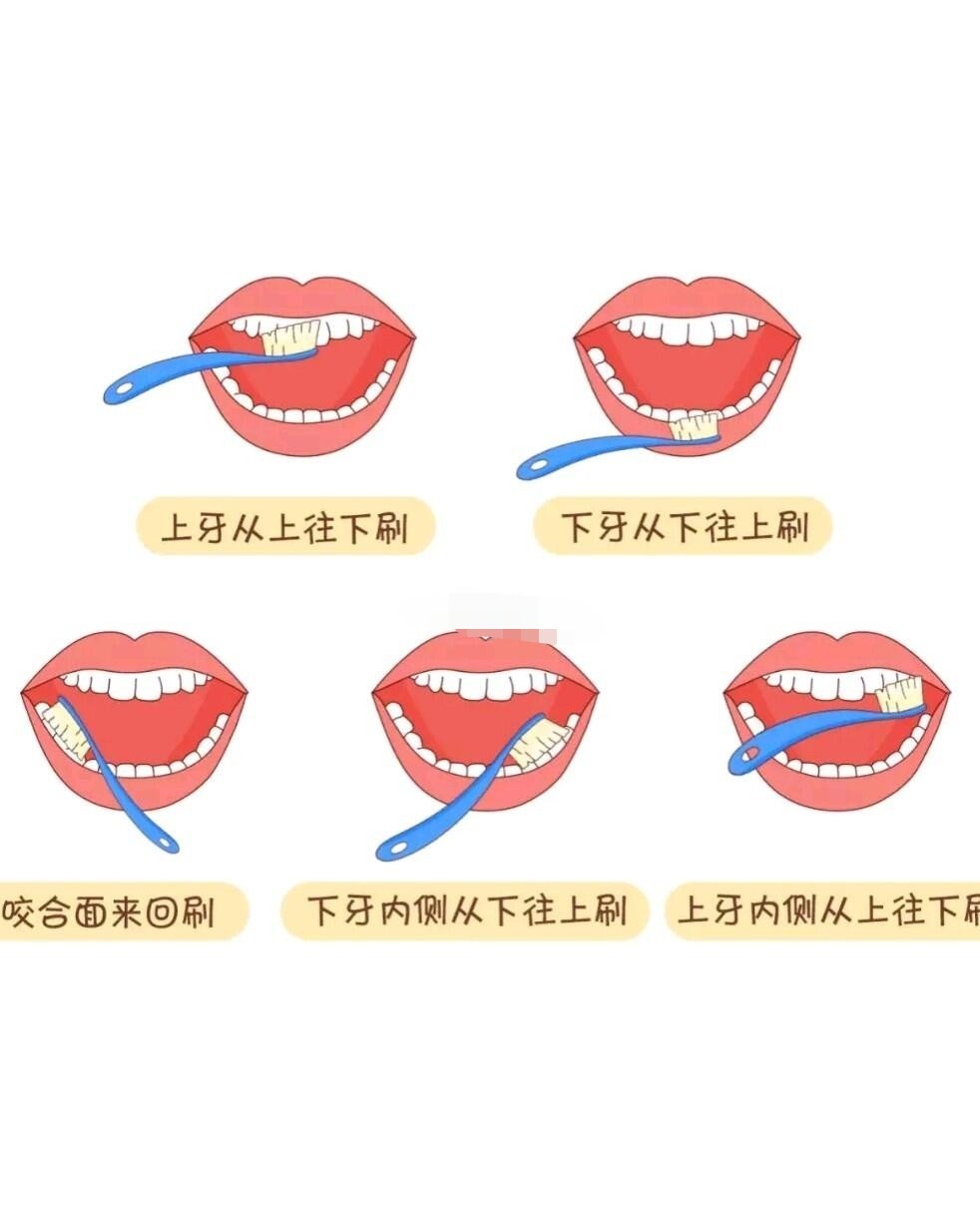 口腔护理擦拭顺序图片图片