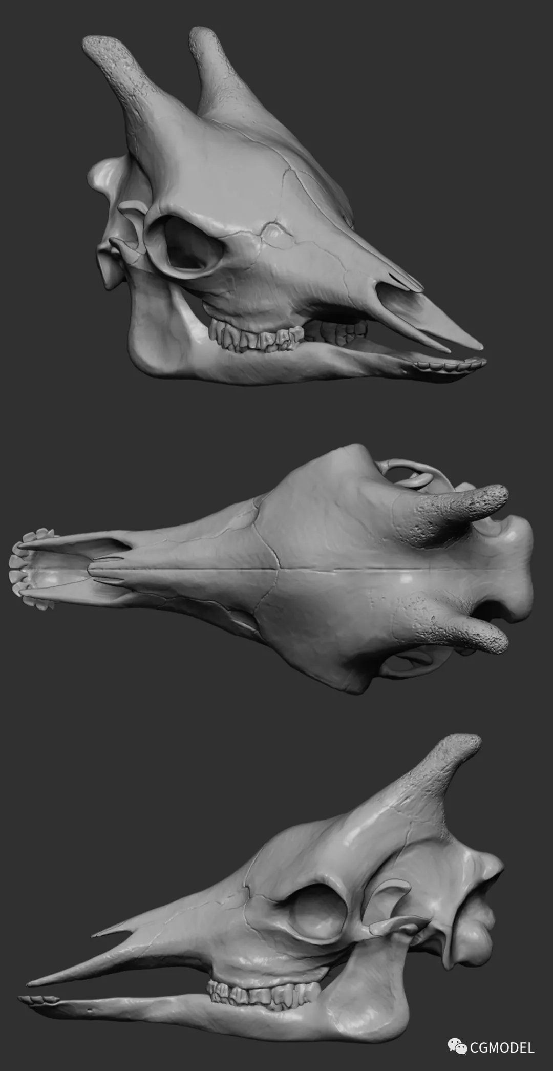 图书馆典藏的艺用动物解剖集pdf,制作动物模型的重要资料_maya