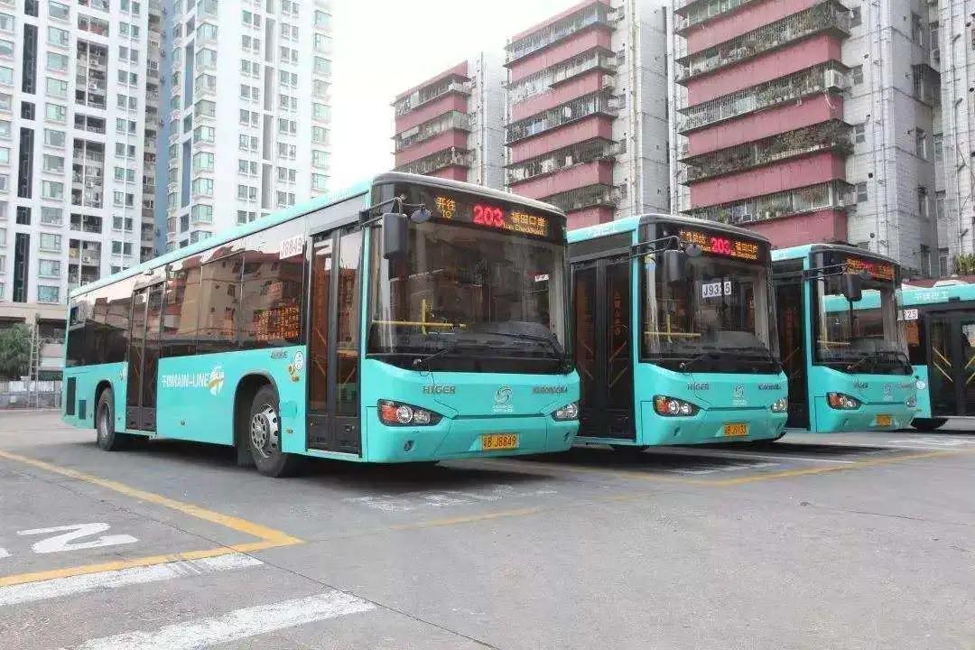 特区40年|春风十里润鹏城_深圳