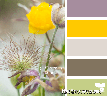 配色方案色彩搭配大全春天篇