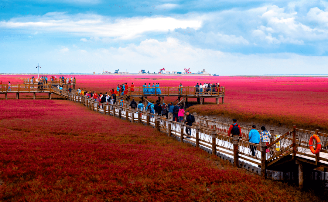 红海滩国家风景廊道自驾游公告