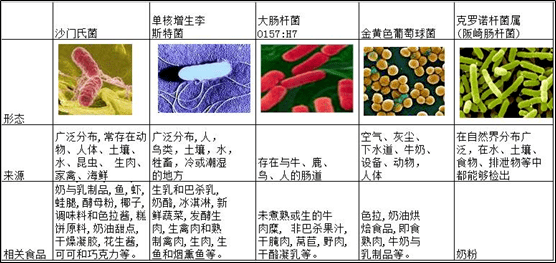 十大致命细菌图片