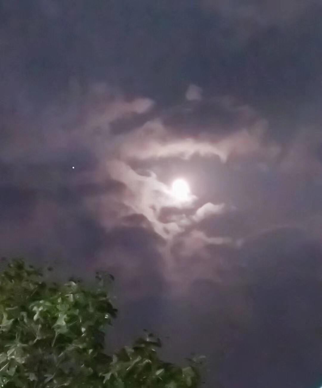 著名作家赵基散文《汴上朦胧月》_手机搜狐网