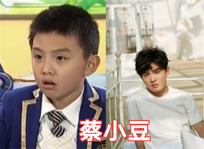 有种改变叫童星长大,小芈月清秀,小楚乔嘉行接班人,她逆袭成功_小时候