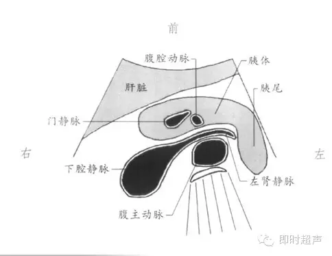 膽道系統胰腺超聲檢查基礎及標準切面