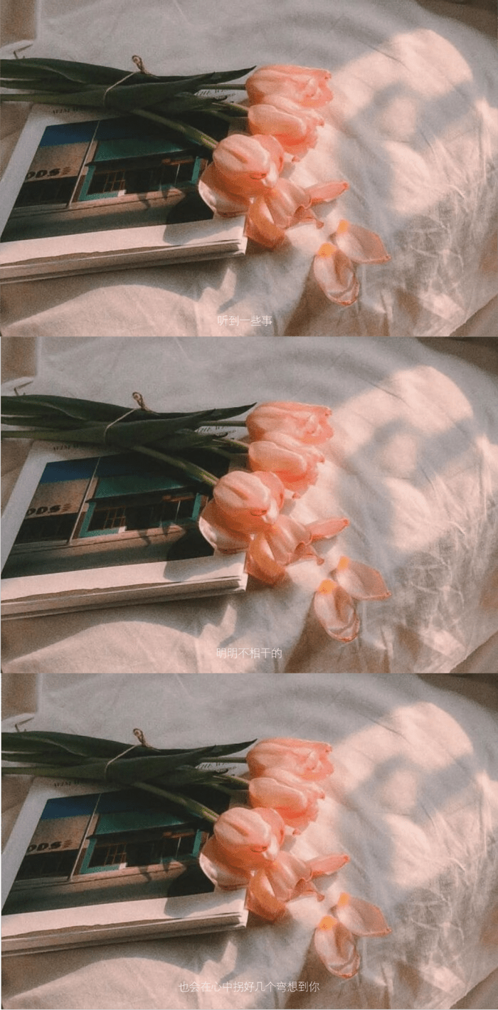 各类多屏壁纸合集