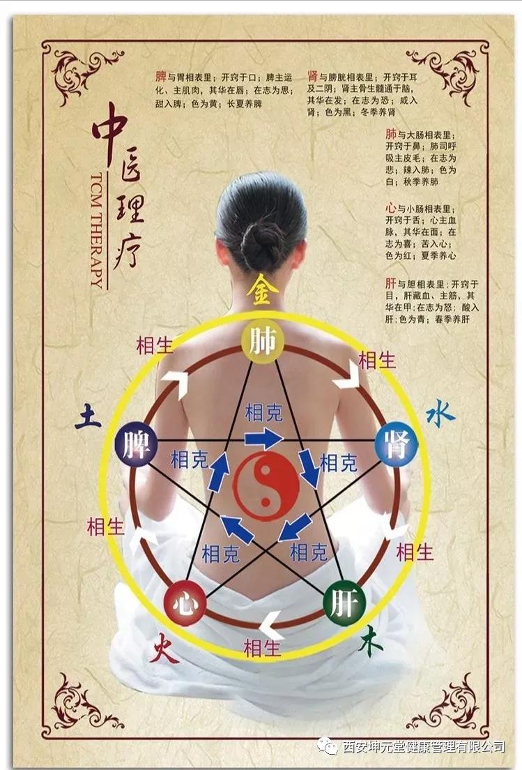 中医讲堂:要想身材变苗条,快照中医减肥药_手机搜狐网