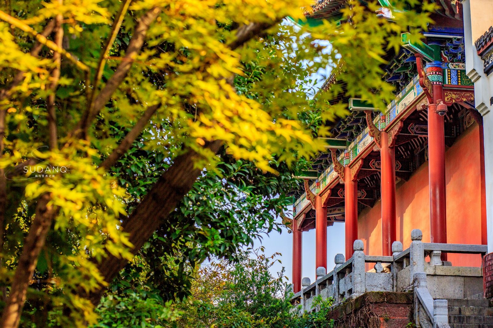 提起江南,你会来武汉赏园林建筑吗?秋天的晴川阁是武汉人的诗意