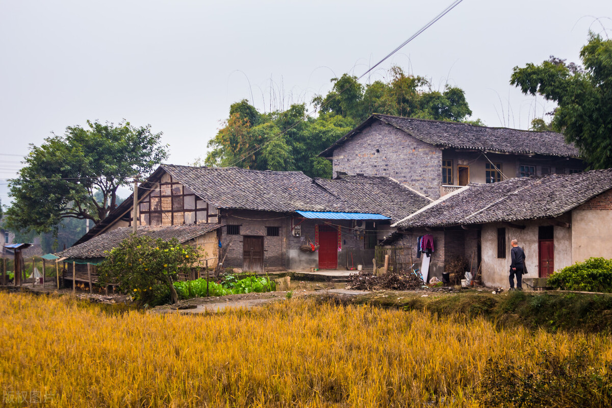 宅基地有没有必要退出看完这篇文章你就知道