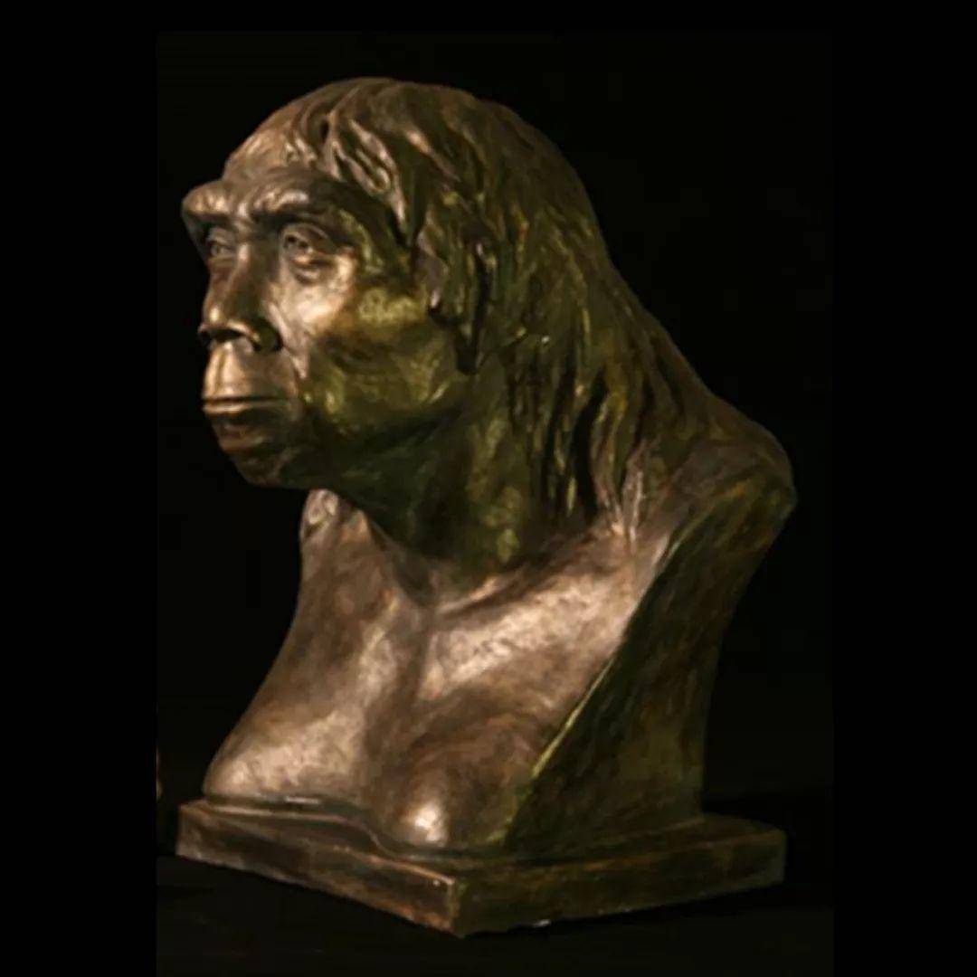 北京猿人是我们的祖先吗?为什么有很多西方人反对?