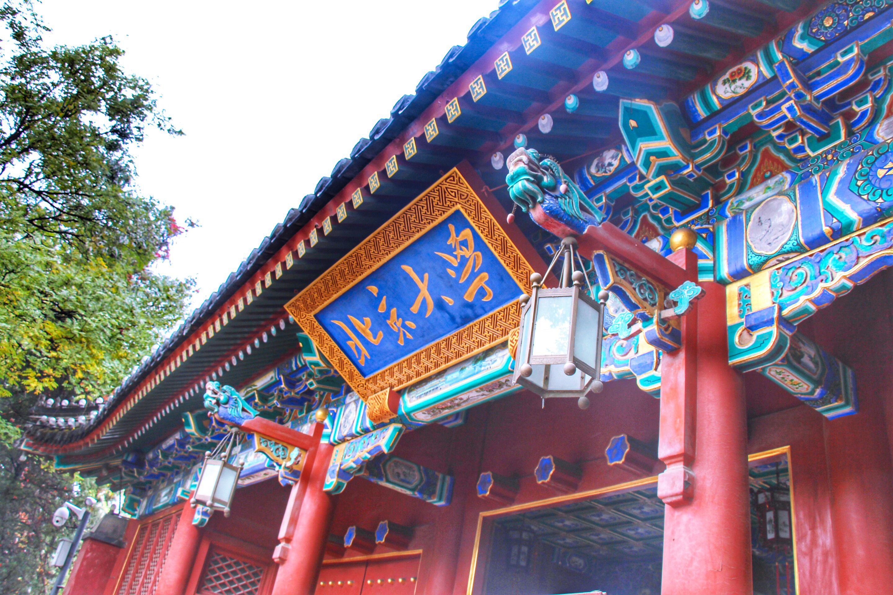 中国大学两院院士校友数量排名北大以183人居首广东名校靠后