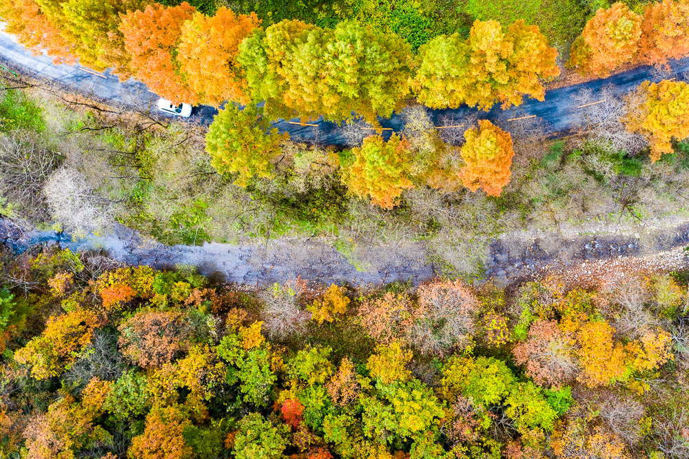 探寻秦岭赏秋秘境，跟着这条自驾线路走，告诉你留坝的秋天有多美