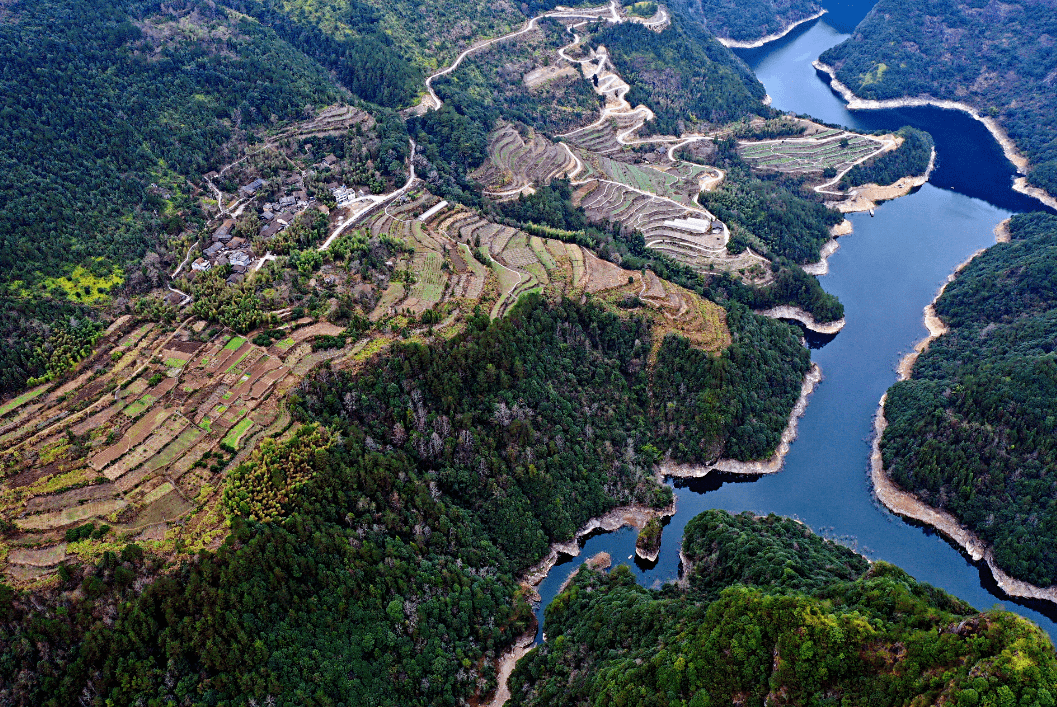 农创客系列报道|青田县林海波:让荒山变成"花果山"_手机搜狐网