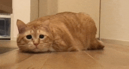 419_225gif 动态图 动图