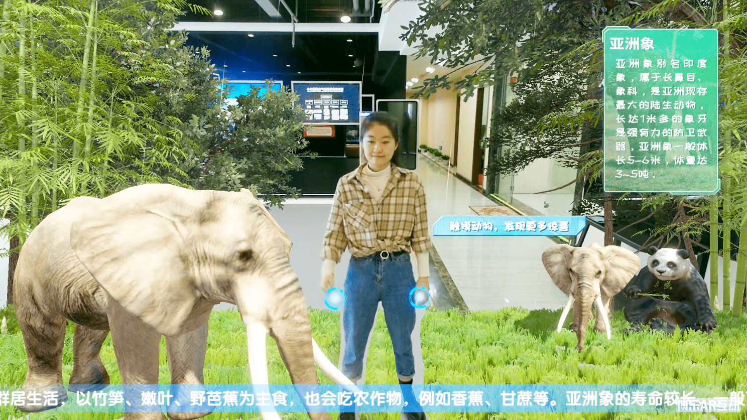 博乐ar动植物系列惊喜上线,快来pick你最喜欢的小可爱_互动