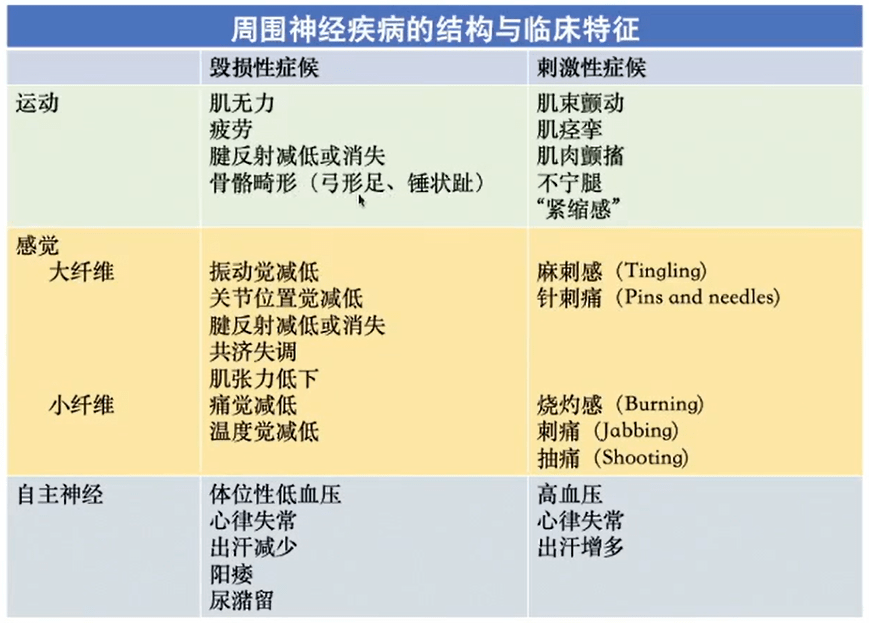 周围神经病的九大诊断步骤,请查收!-搜狐大视野-搜狐新闻