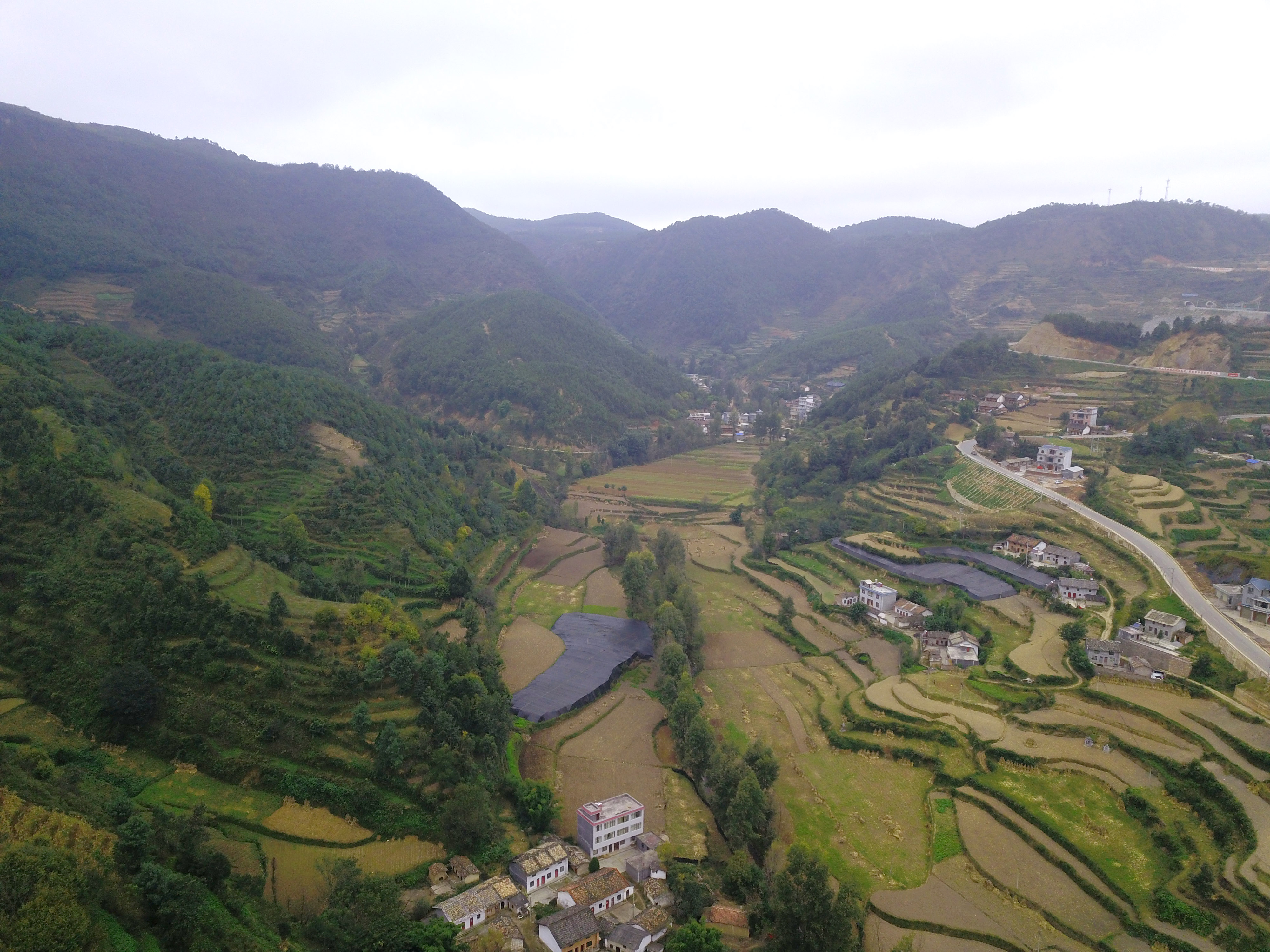 田坝乡田坝村图片图片