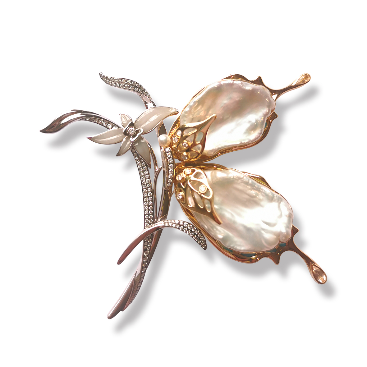 阮氏珍珠选送作品