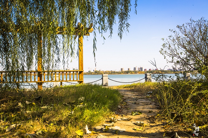 山东茌平金牛湖,门票免费,环境优美,是人们休闲的好去处_手机搜狐网