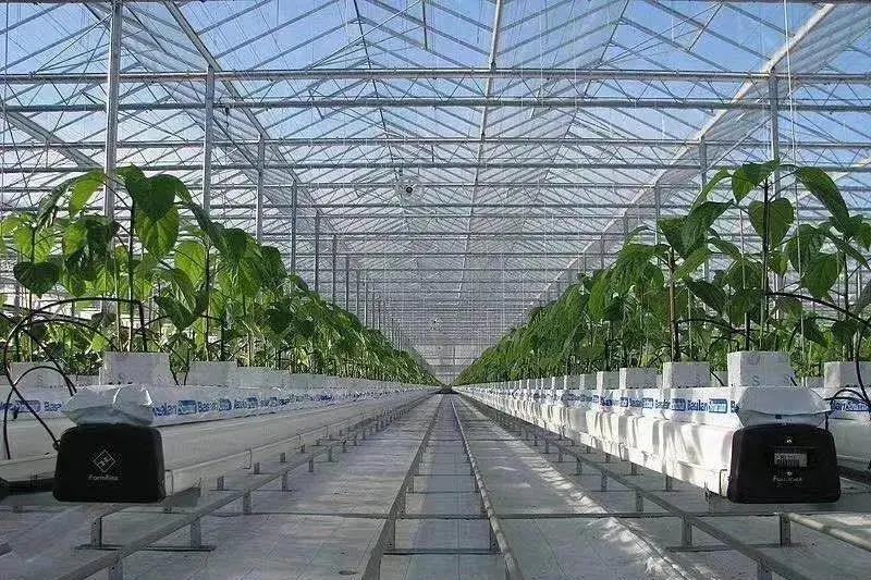 用世界最好的技术种番茄杨凌这座智能温室明年三月完