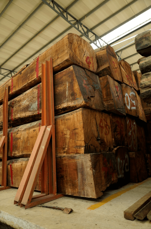 市面上常见的4种花梨木四大美人绽放不同的美姿