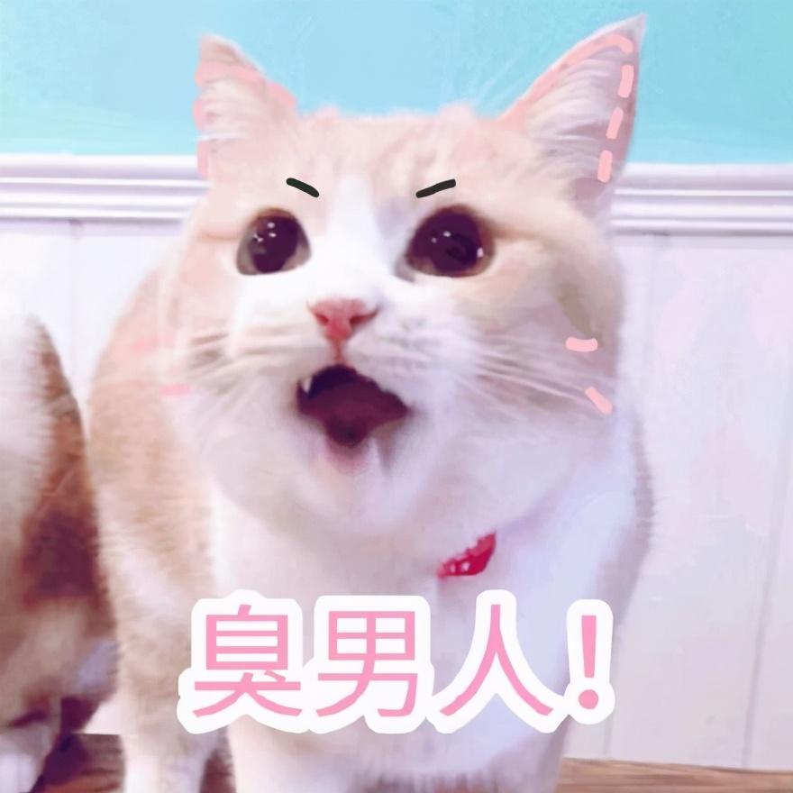 你滚吧,别挡我发财,臭男人!不知死活的臭男人,我是公主!