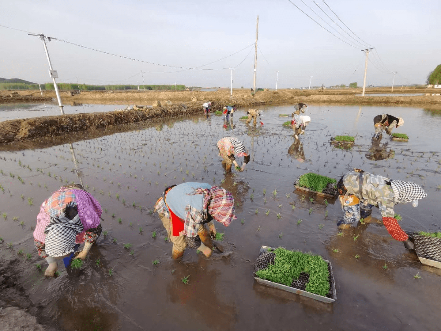 74岁农民大爷卖金饼没钱雇保镖防山贼只好自己上阵