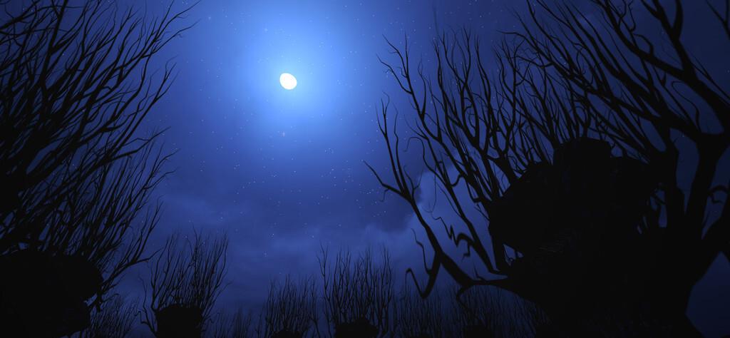 故事:乡村奇闻趣事,钓鱼人半夜遇到诡异事件,时至今日,心理阴影还在