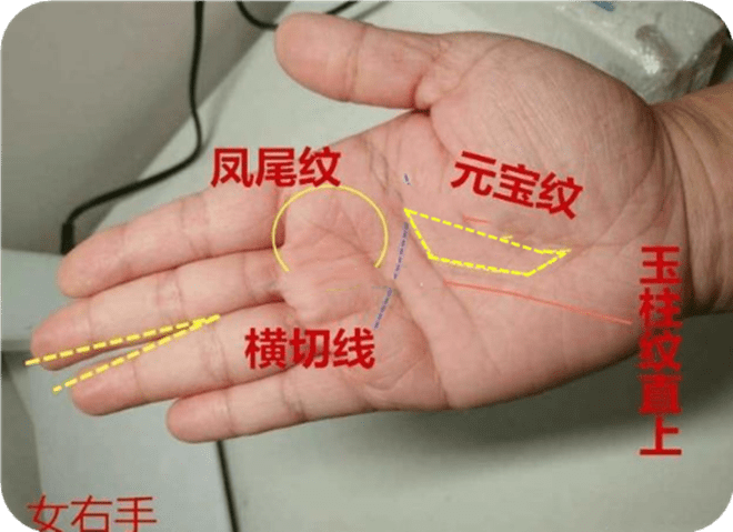 掌中有这5种掌纹必是富贵命轻松得万贯家财