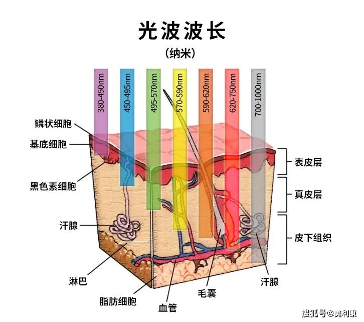 人体光环的颜色等级图片