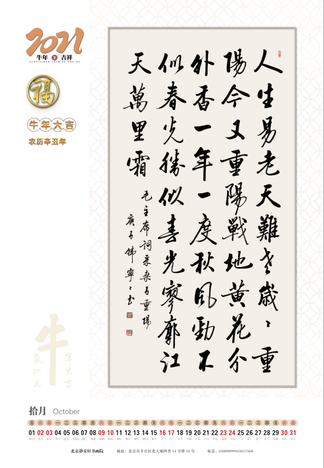 韩宁宁"牛"字版～2021年书法挂历,台历出炉_手机搜狐网