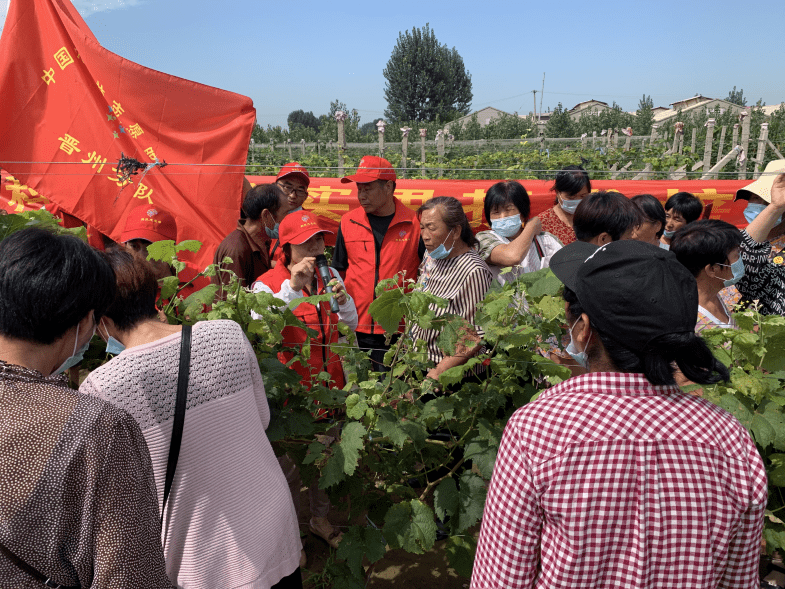 传播科技富万家晋州市拔尖人才赵巧芝先进事迹