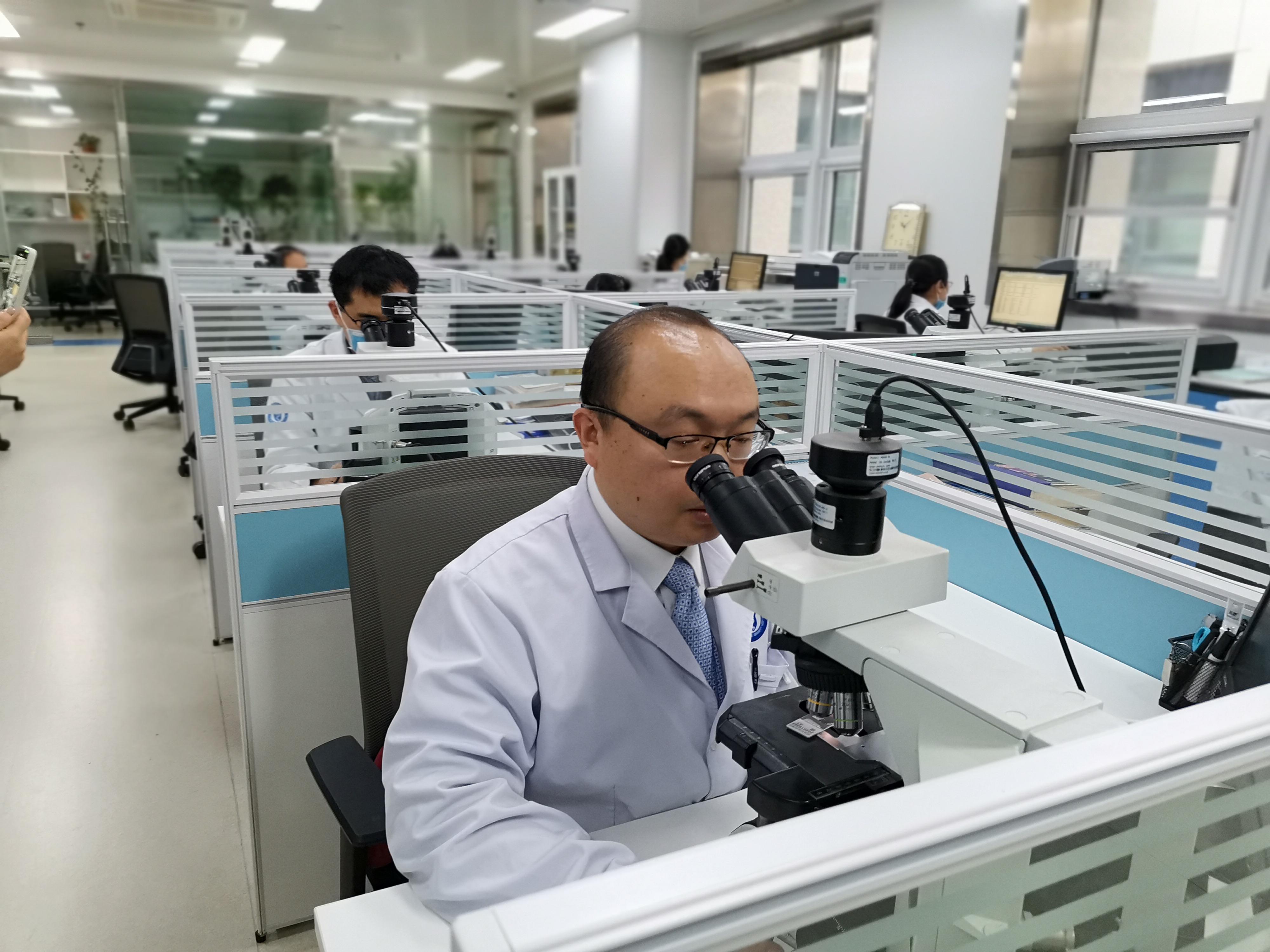 滨医附院病理科:提供关键信息,指导临床治疗_手机搜狐网