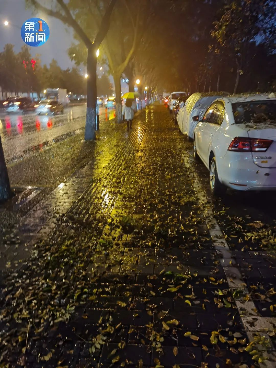 夜雨潇潇,暗黄灯光,雨打纷飞落叶,一场大雨过后,截至17日22时,榆林