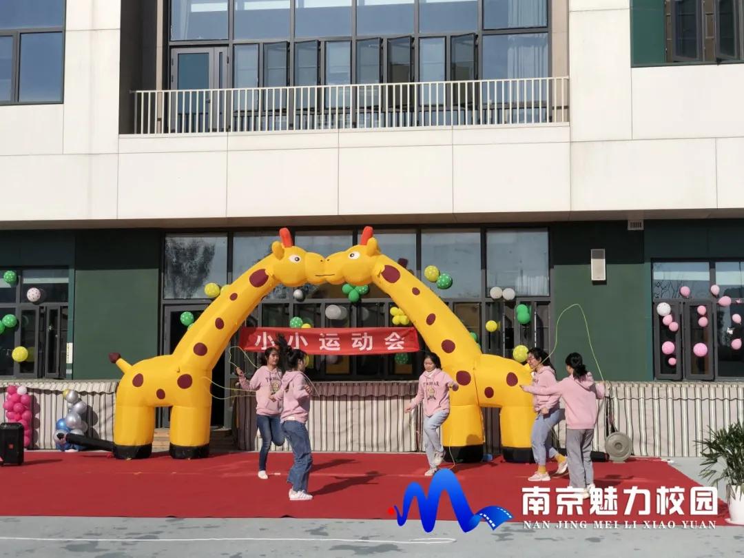 动态丨南京市鼓楼幼儿园江北新区分园:小小运动会