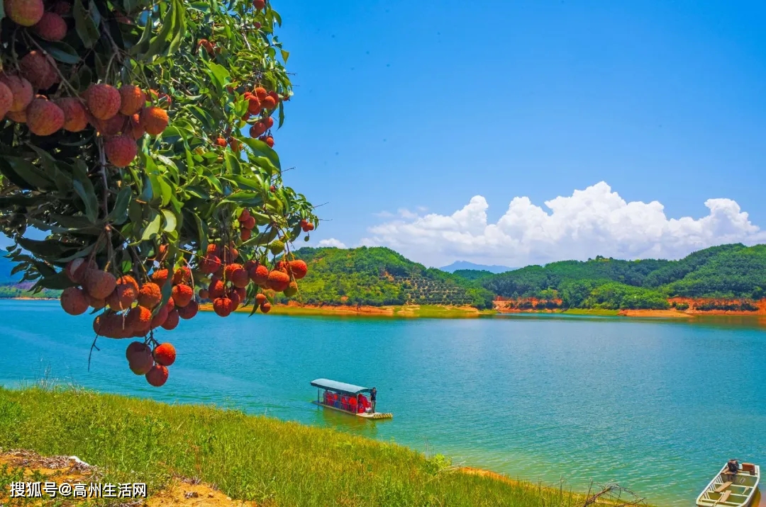 预告11月20日高州市消费扶贫万人行第19站走进生态平山