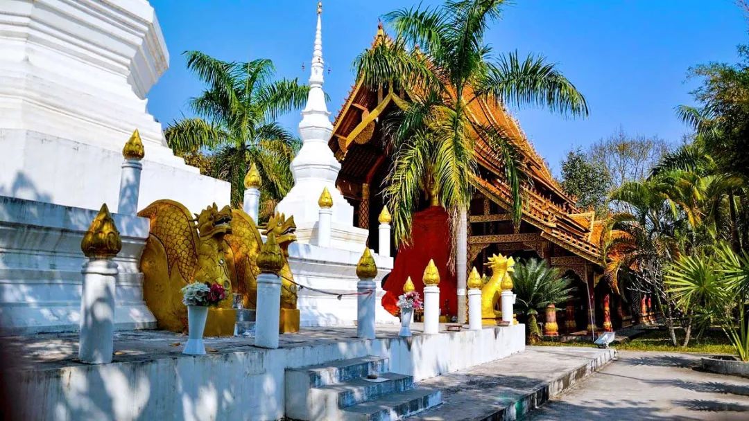 老马不才居高眺望,园区里的五个傣寨,好像被巨大而美丽的绿孔雀尾巴