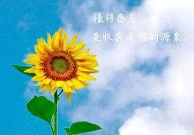 原创早上发朋友圈的励志句子阳光向上每一句都是正能量
