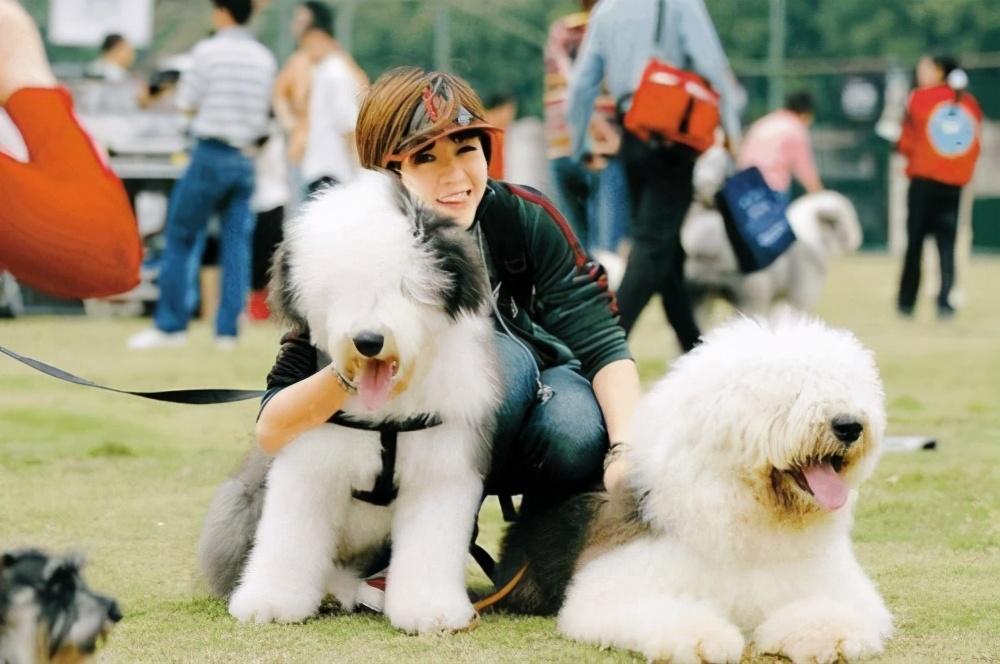 狗狗这5个行为,就是在"守护"你,第3个最让人心疼