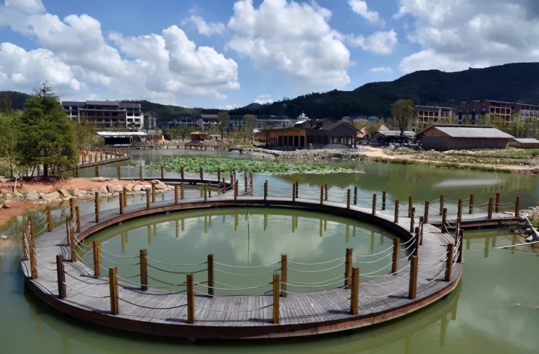 从"穷山村"到"富强村",温州下山头村实现乡村生态经济新发展